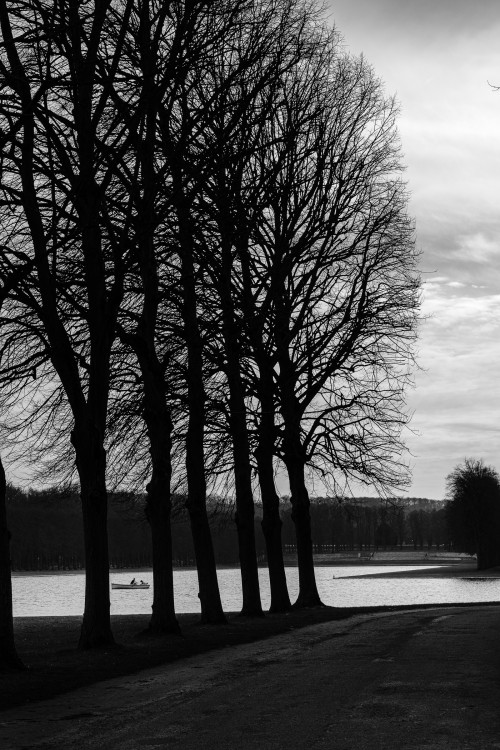 polgegh_20250304_dsf6682.jpg