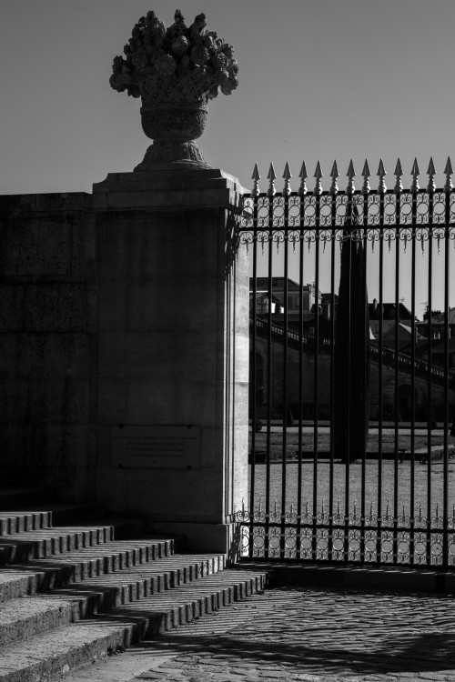 polgegh_20250306_dsf6804.jpg