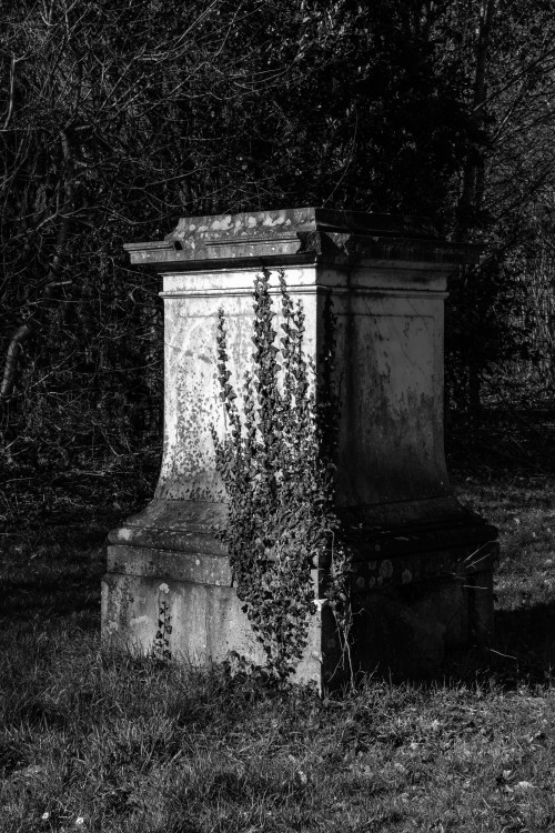 polgegh_20250306_dsf6900.jpg
