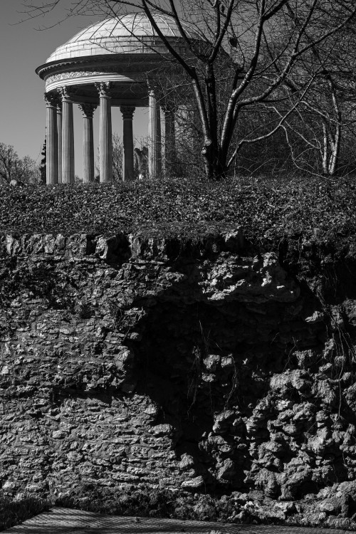 polgegh_20250320_dsf6951.jpg