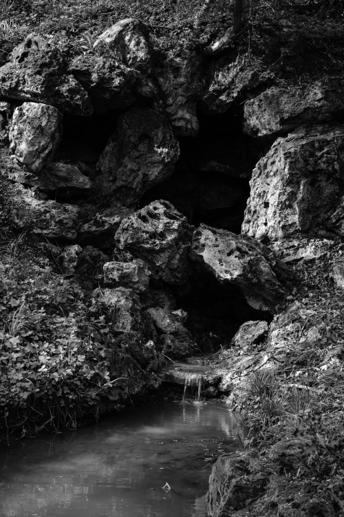 polgegh_20250415_dsf7903.jpg