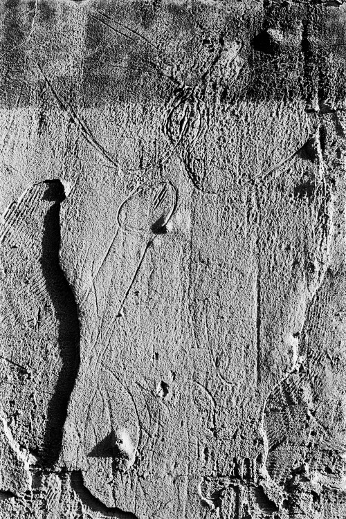 polgegh_20020310_1026_31a.jpg