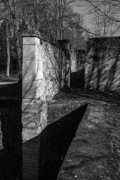polgegh_20260319_dsf2135.jpg