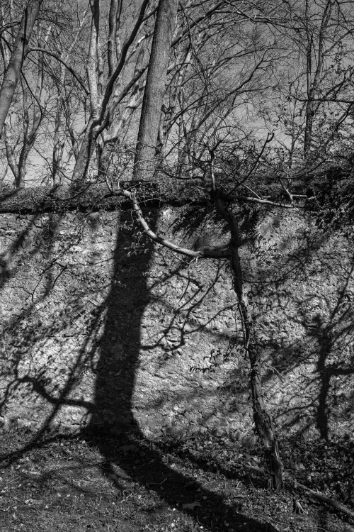 polgegh_20260319_dsf2013.jpg