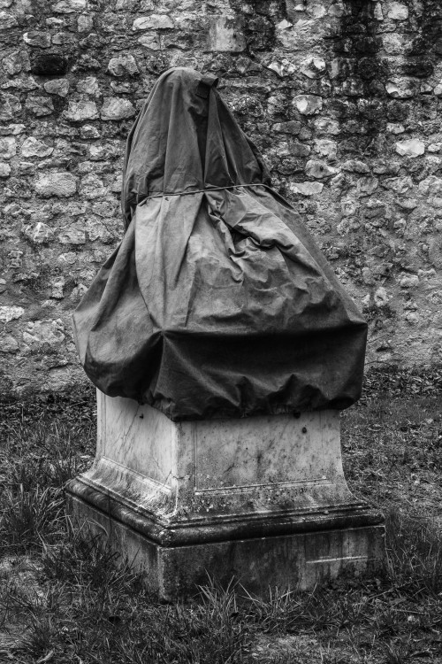 polgegh_20260224_dsf1700_remouleur.jpg