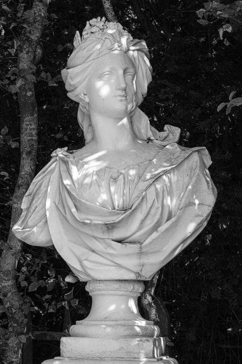 polgegh_20250828_dsf8788.jpg
