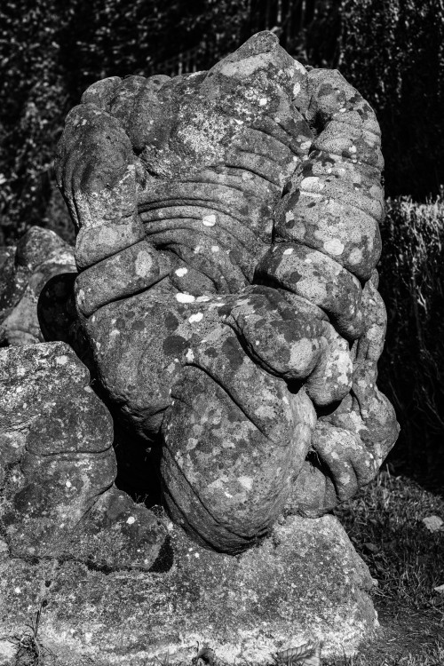 polgegh_20251014_dsf9515.jpg