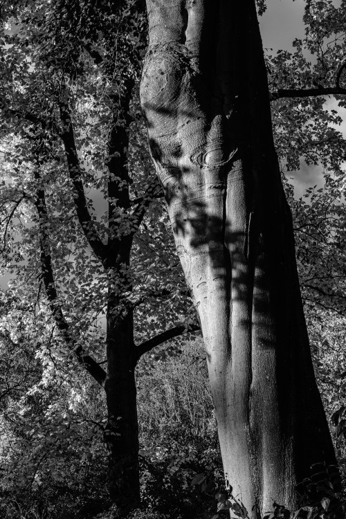 polgegh_20251014_dsf9574.jpg