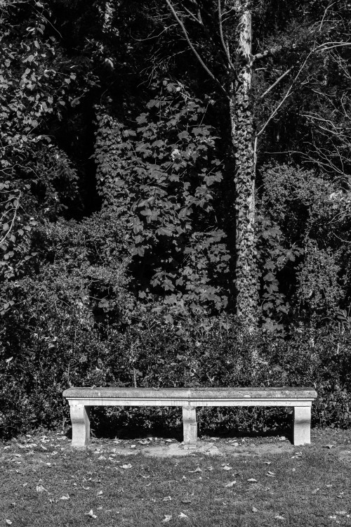 polgegh_20251017_dsf9709.jpg
