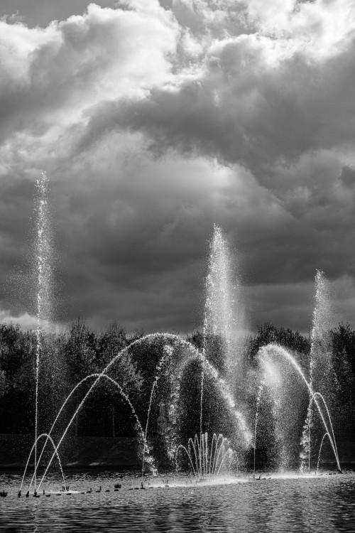 polgegh_20251017_dsf9738.jpg