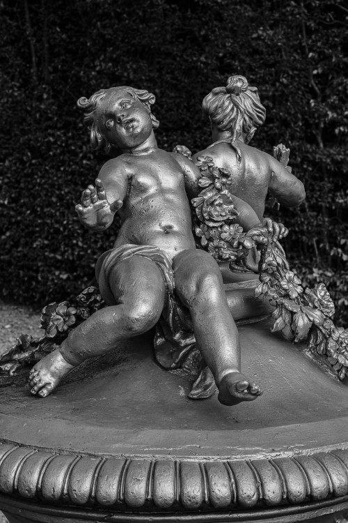 polgegh_20251017_dsf9845.jpg