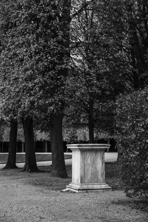 polgegh_20251031_dsf0043.jpg