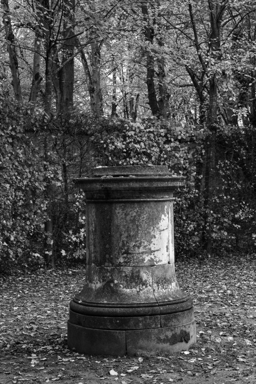 polgegh_20251031_dsf0103.jpg