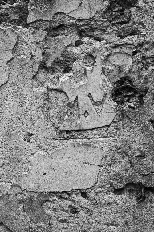 polgegh_20251031_dsf0138.jpg