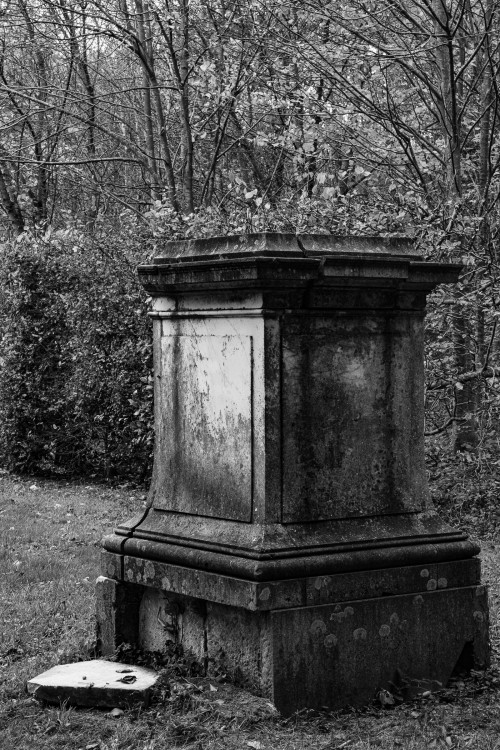 polgegh_20251031_dsf0161.jpg