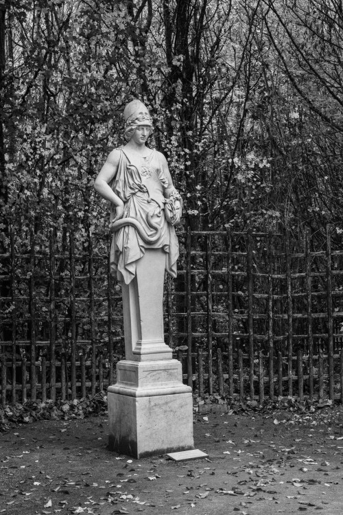 polgegh_20251103_dsf0540.jpg