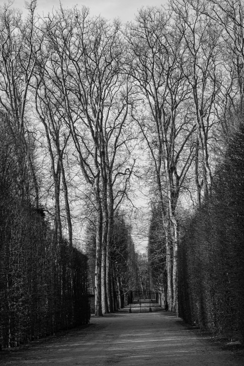 polgegh_20251209_dsf0849.jpg