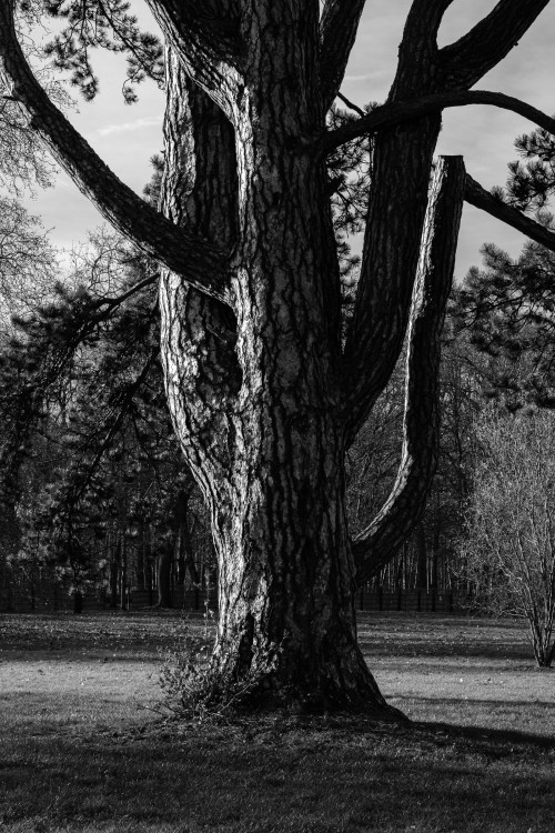 polgegh_20251209_dsf0870.jpg