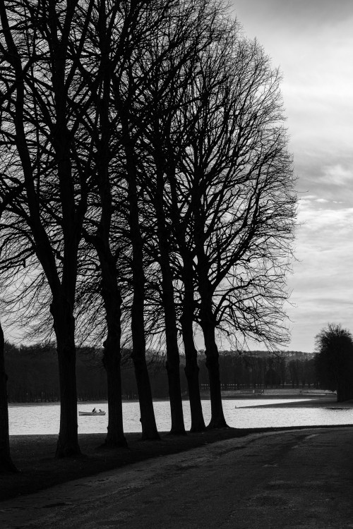 polgegh_20250304_dsf6682.jpg