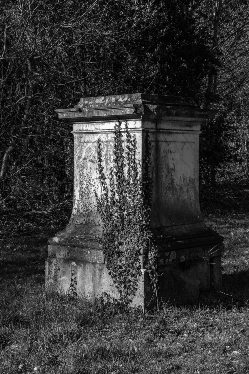 polgegh_20250306_dsf6900.jpg