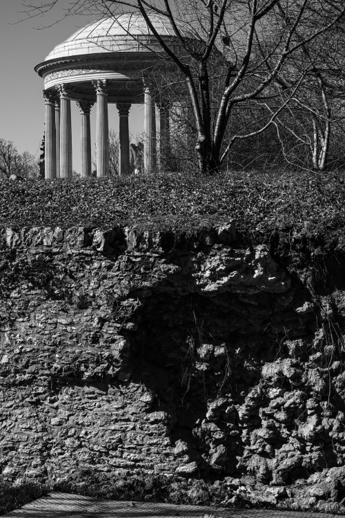 polgegh_20250320_dsf6951.jpg