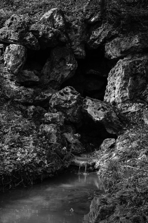 polgegh_20250415_dsf7903.jpg