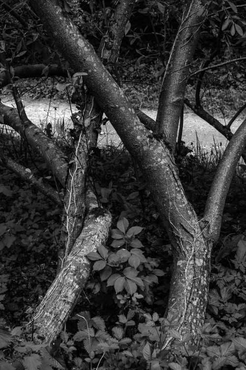 polgegh_20250415_dsf7915.jpg