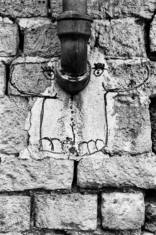 polgegh_20211107_1949_32a.jpg