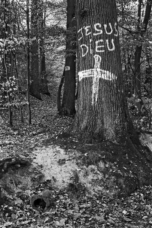 polgegh_20111031_1640_11.jpg