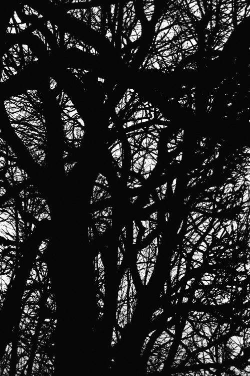 polgegh_20100206_1518_27a28.jpg