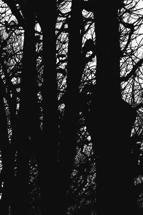 polgegh_20100207_1520_19.jpg